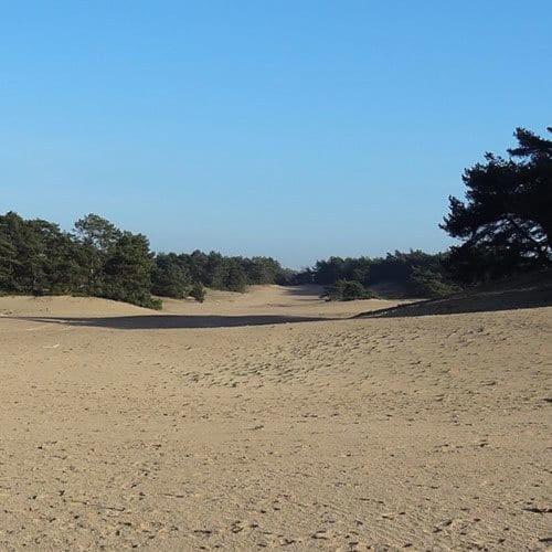 Vakantie op de Veluwe Villa Lunteren Buitenkant foto